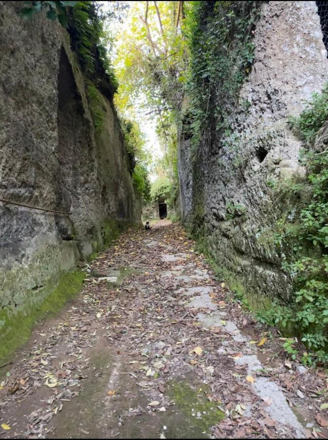 Affittacamere Licenza N.1 Presso La Magica Torre Pitigliano Dış mekan fotoğraf